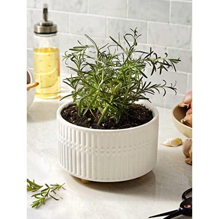 BEMAY 2-Pack White Ceramic Succulent Pots, 6.5 & 8 Inch photo 4