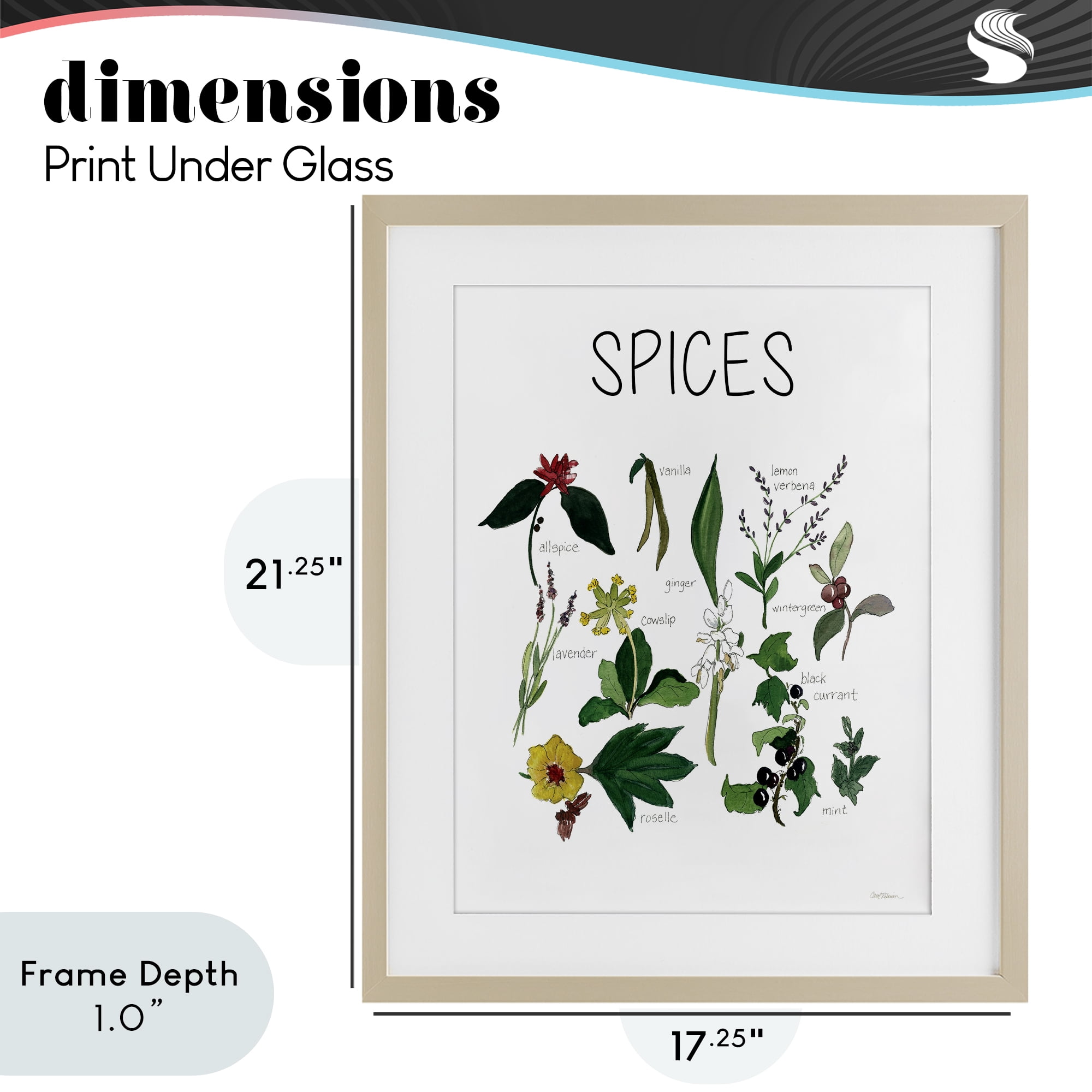 Stupell Industries Spices Identification Chart Birch Framed Print Under Glass, design by Carol Robinson