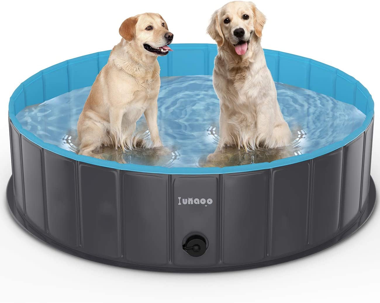 kiddie dog pool