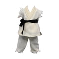 thumbnail image 2 of Figura de acción a escala 1/12, ropa, disfraz de muñeca, uniforme de judo, ropa en miniatura, cinturón de pantalón superior para cuerpo masculino de 6 Blanco, 2 of 5