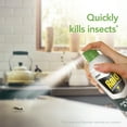thumbnail image 4 of Raid Essentials Ant, Spider & Roach Killer Spray, 4 of 22