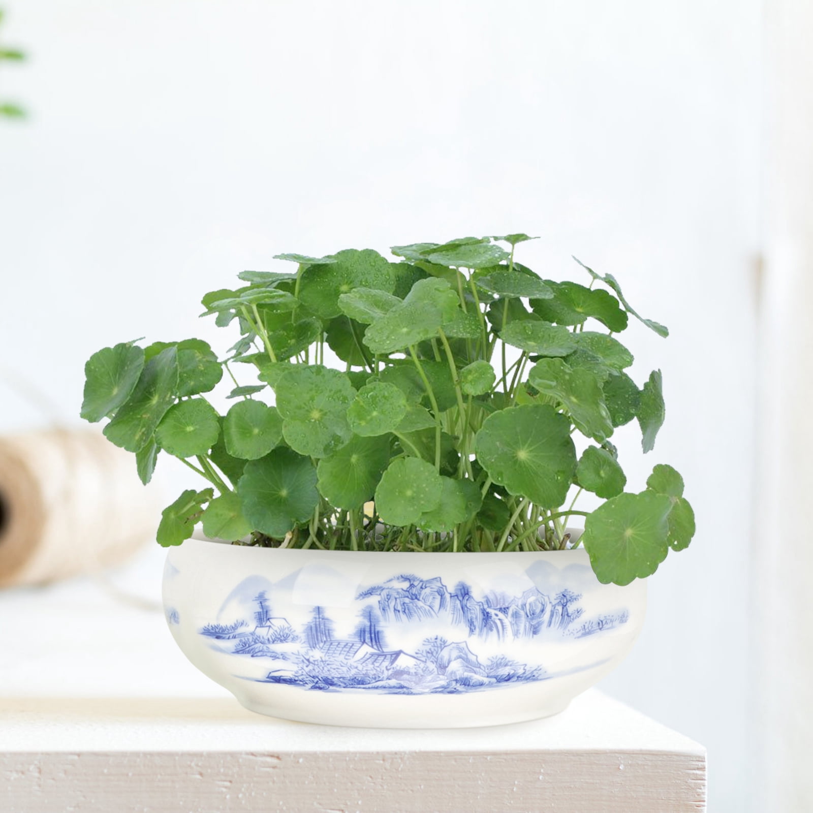 20x20cm Indoor Plant Pots Bowl for Hydroponic Plants, Flower Containers for and Decorative Use