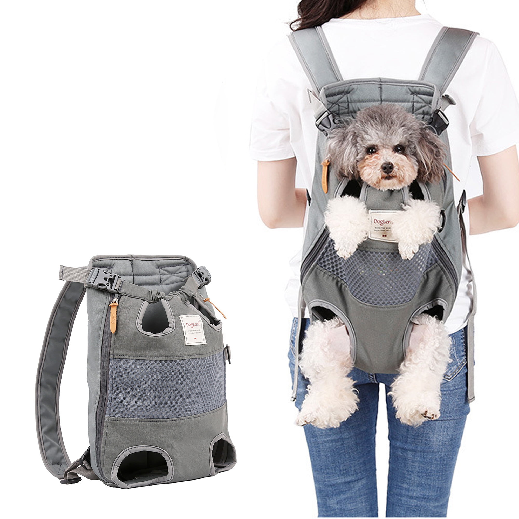 do dogs like carrying backpacks