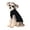 L, variant on GASTROPOD Dog Sweater M Soft Stretchy Fabric Small Dog Sweater Cozy Fit For Daily Use