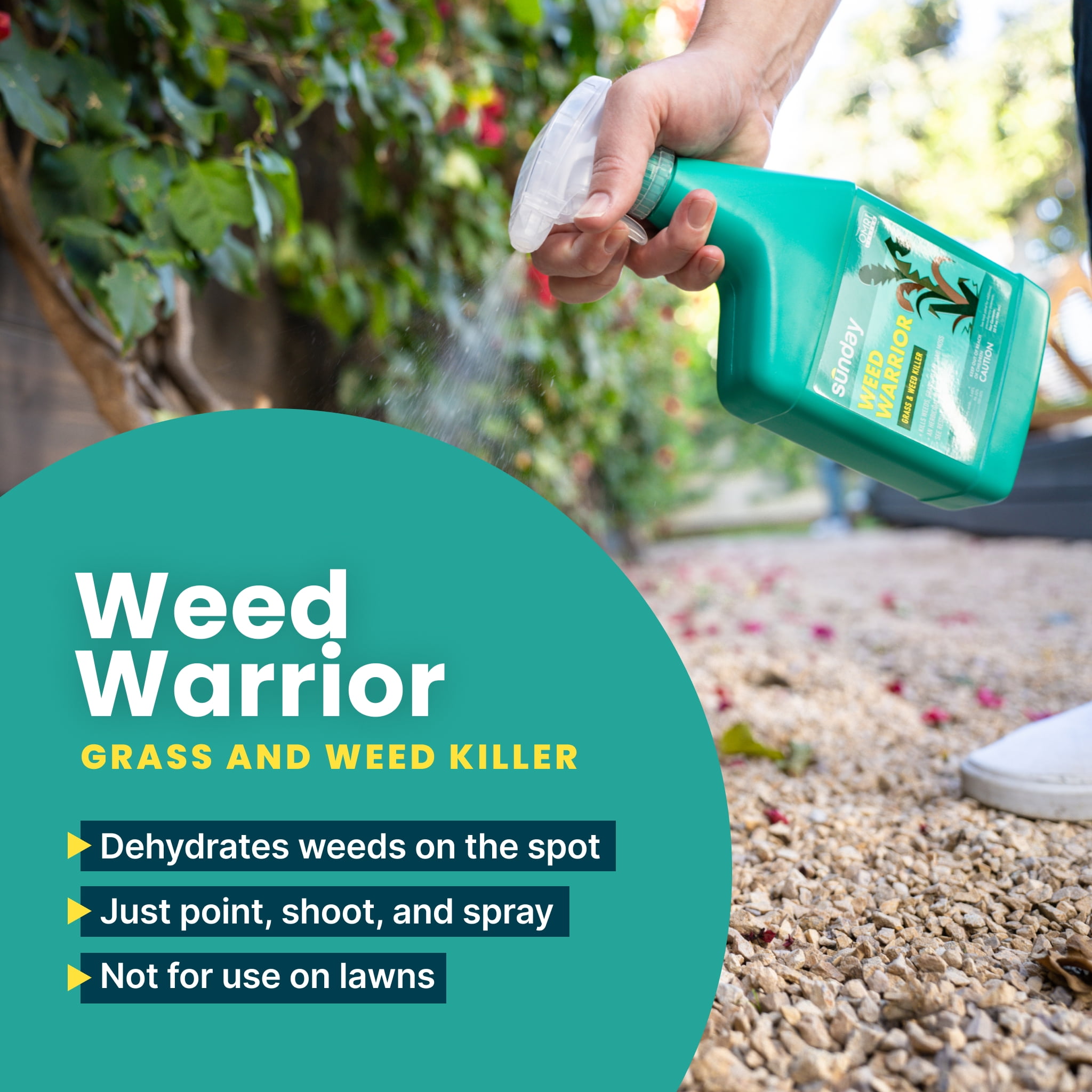 Sunday Weed Warrior NonSelective Herbicide Spot Treatment 32 oz. Best