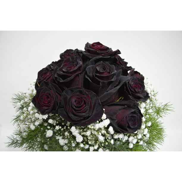 Bridal Bouquet Black Rose Black Roses Inch By 30 Inch Laminated Poster With Bright Colors And Vivid Imagery Fits Perfectly In Many Attractive Frames Walmart Com Walmart Com Bridal Bouquet Black Rose Black Roses Inch By 30 Inch Laminated Poster With Bright Colors And Vivid Imagery Fits Perfectly In Many Attractive Frames Walmart Com Walmart Com