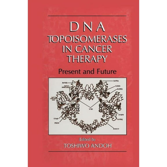 DNA Topoisomerases in Cancer Therapy: Present and Future, (Paperback)