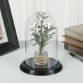 thumbnail image 2 of Plymor 4.5" x 8" Glass Display Dome Cloche (Black Wood Veneer Base), 2 of 3