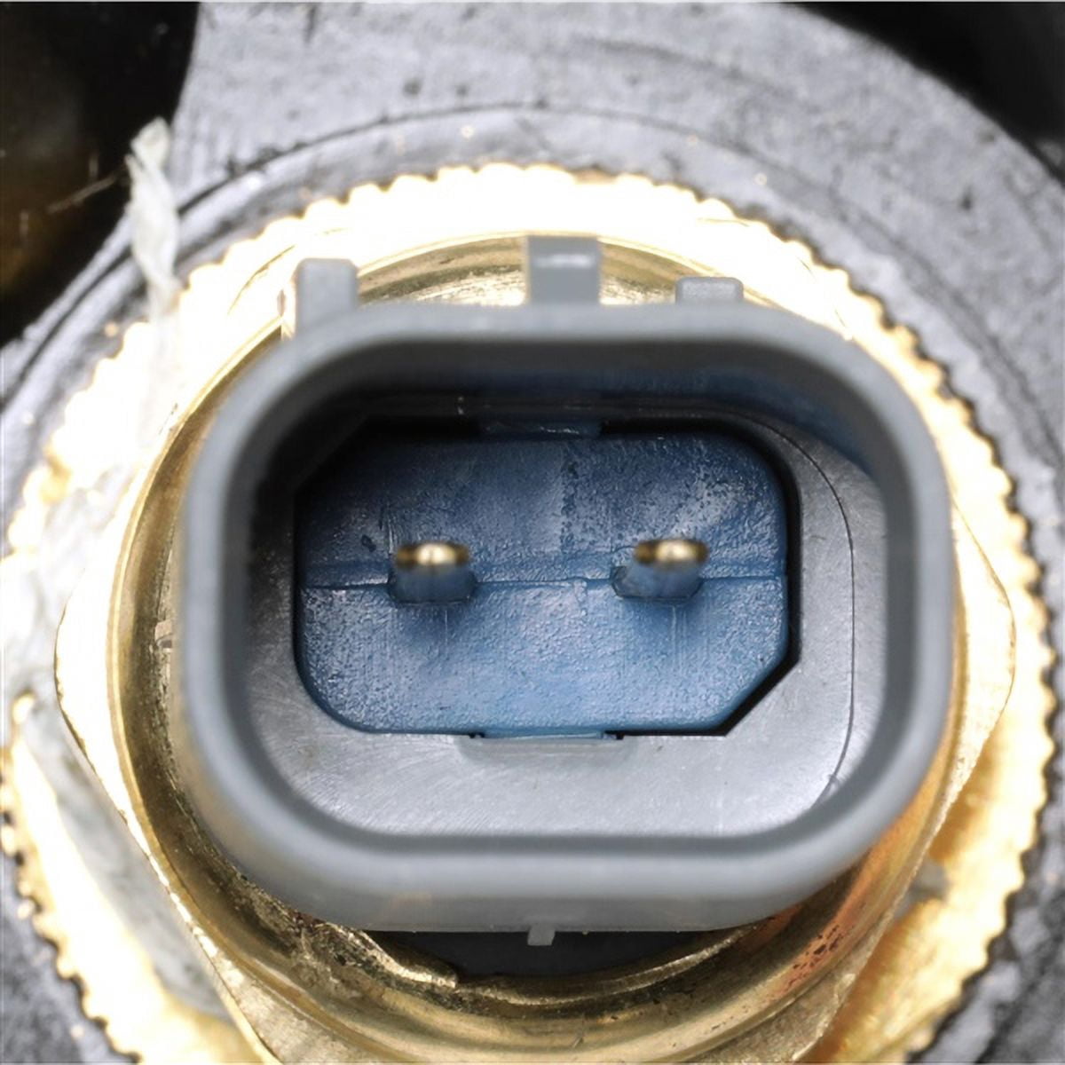 Oil Filter Housing Assembly