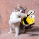thumbnail image 4 of Juguete interactivo de peluche para gatos | Juguete eléctrico para mascotas que hace ruido | Tela suave, duradera y esponjosa | Funda lavable desmontable | Movimiento y sonido realistas | 4,33 x, 4 of 7