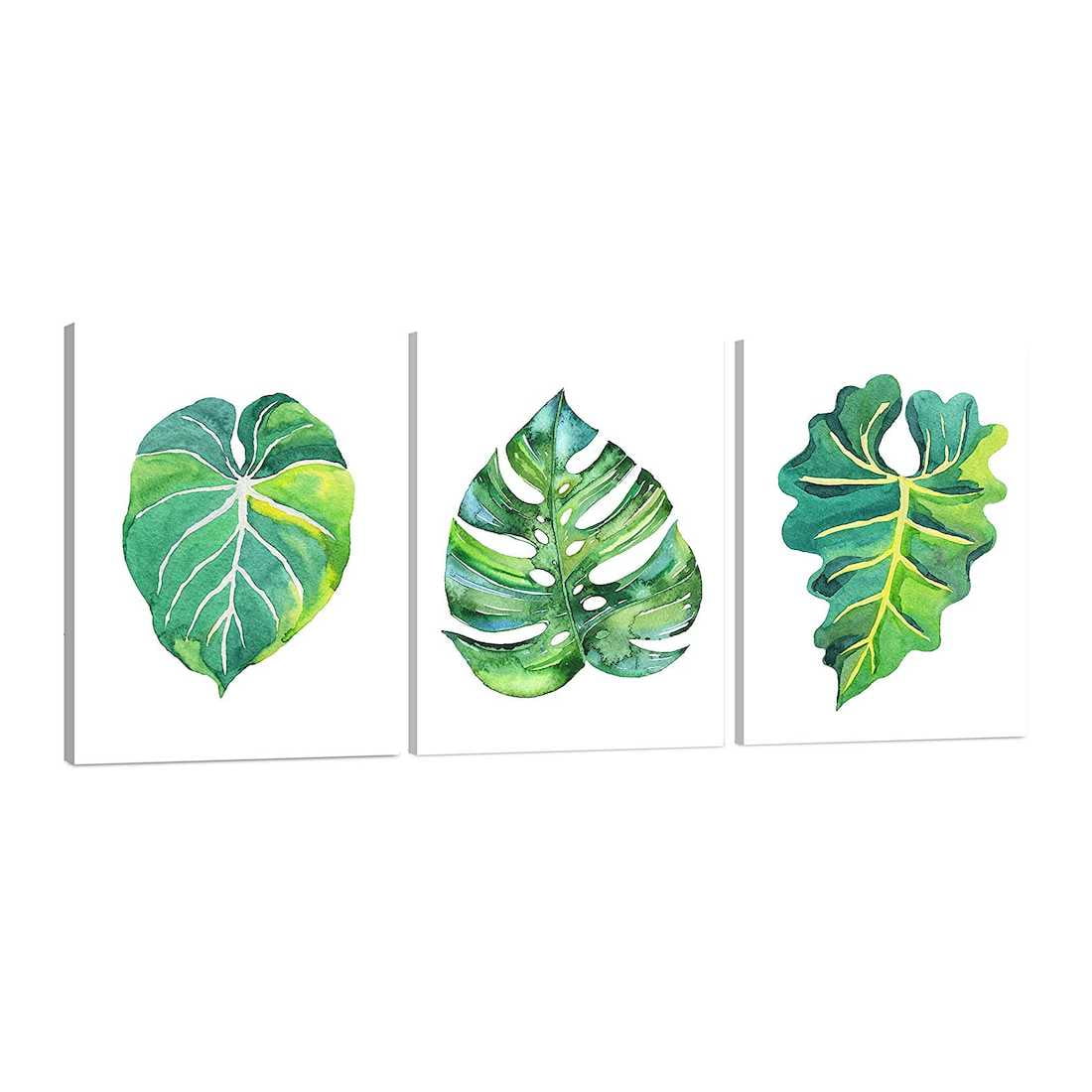 ZingArts 3 Panel Canvas Wall Art Green Plant Plantain Leaf Simple Life Watercolor Style Nature Pictures Print On Canvas for Living Room Kitchen Decorations Stretched Framed Ready to Hang 12x12x3pcs 