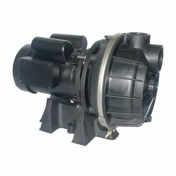Dayton Pump,1 HP,1Ph,120/208 to 240VAC 5RWP4