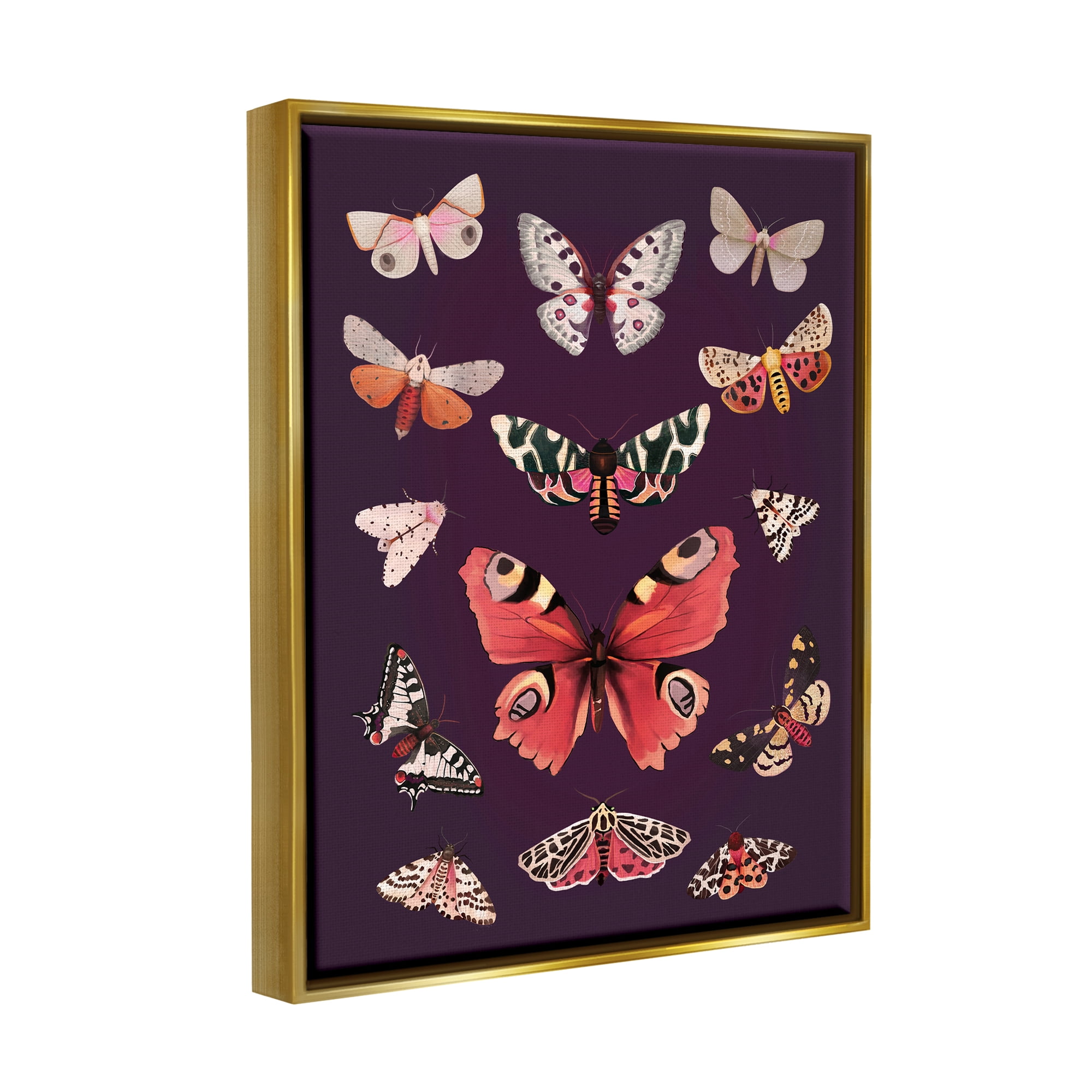 Stupell Industries Vintage Wildlife Moths Animals & Insects Painting Gold Floater Framed Art Print Wall Art, 25 x 31