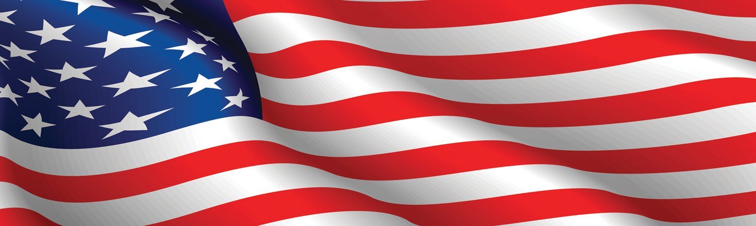 Vantage Point 010005L American Flag Rear Window Graphic VantagePoint