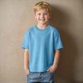 thumbnail image 2 of Ccpelsie Boys Shirt Short Sleeve T-Shirt Crew Neck Casual Basic Summer Tee Tops for Kids Teen(Light Blue,2-3 Years), 2 of 8