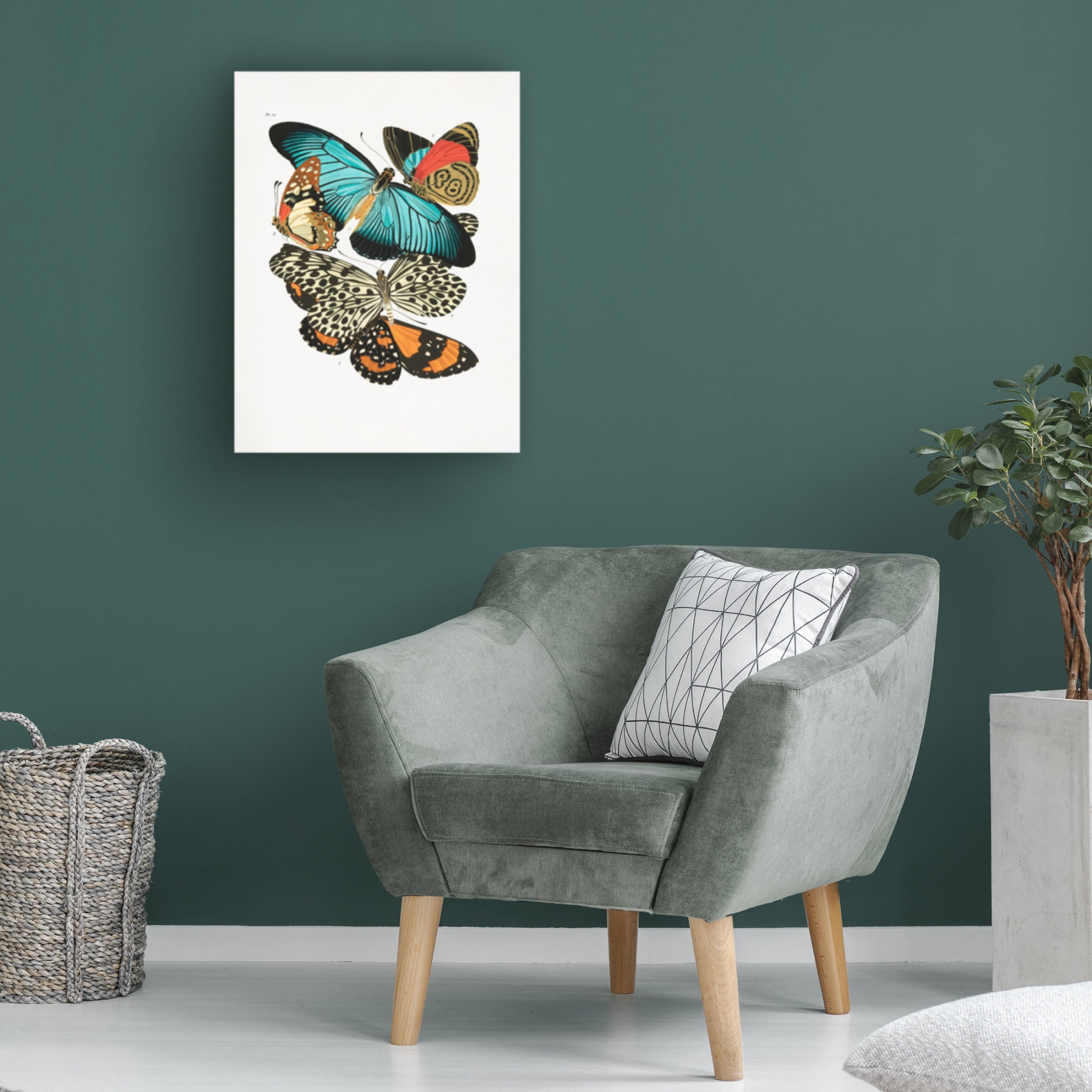 Trademark Fine Art Pictufy Butterflies 1 Canvas Wall Art