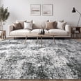 thumbnail image 3 of Alfombra de área DMOYEST 305 x 366 cm, lavable, suave, gris, 3 of 8