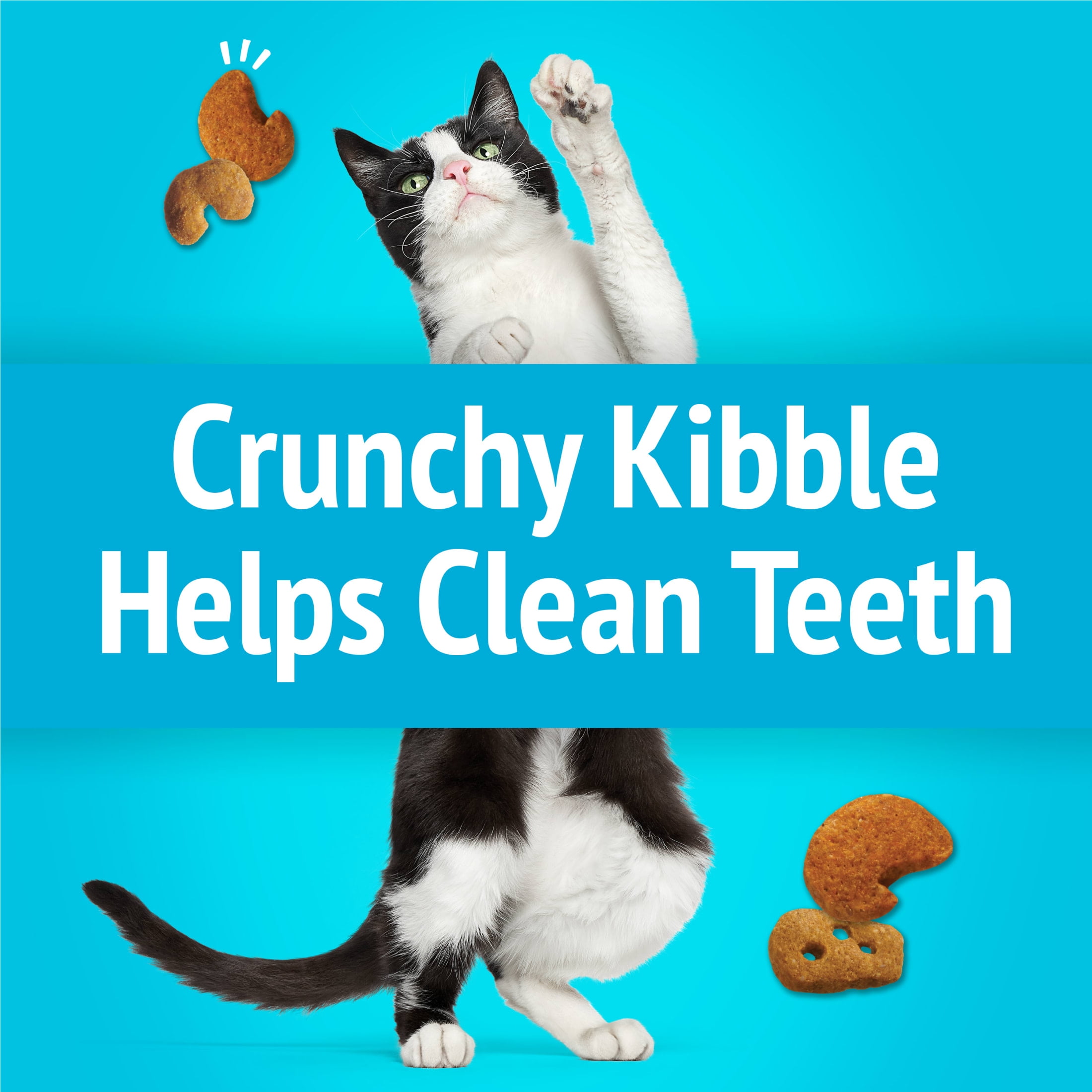 Purina Friskies Party Mix Lobster and Mac 'N' Cheese Flavor Treats for Cats, 6 oz Bag