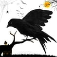 thumbnail image 2 of Realistic Crows Lifesize Extra Large Handmade Black Feathered Crow for Halloween Decorations Birds(1 Pack, 7.87"), 2 of 9