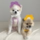 thumbnail image 4 of Pañuelos para perros Toalla de saliva para mascotas Babero para perros Bufanda ajustable para perros, 4 of 7
