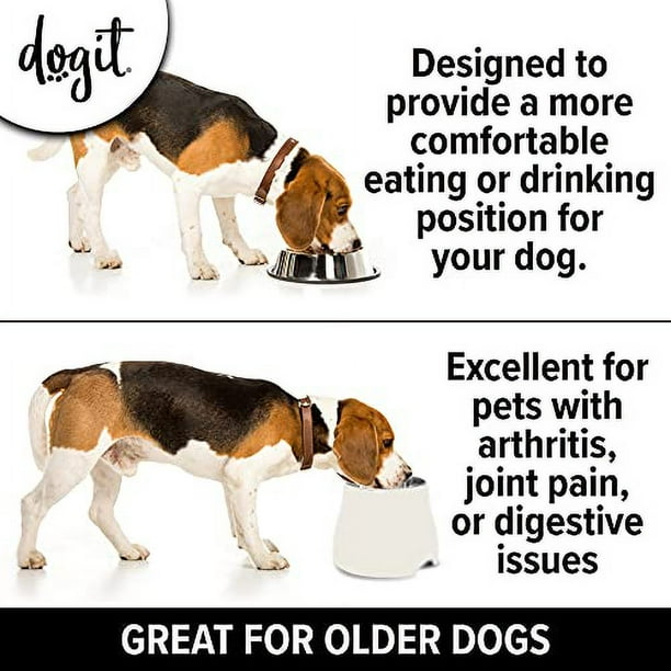 Dogit elevated dog bowl large best sale