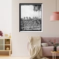 thumbnail image 3 of Historic Framed Print, Banana plantation, Indian River, 17-7/8" x 21-7/8", 3 of 9