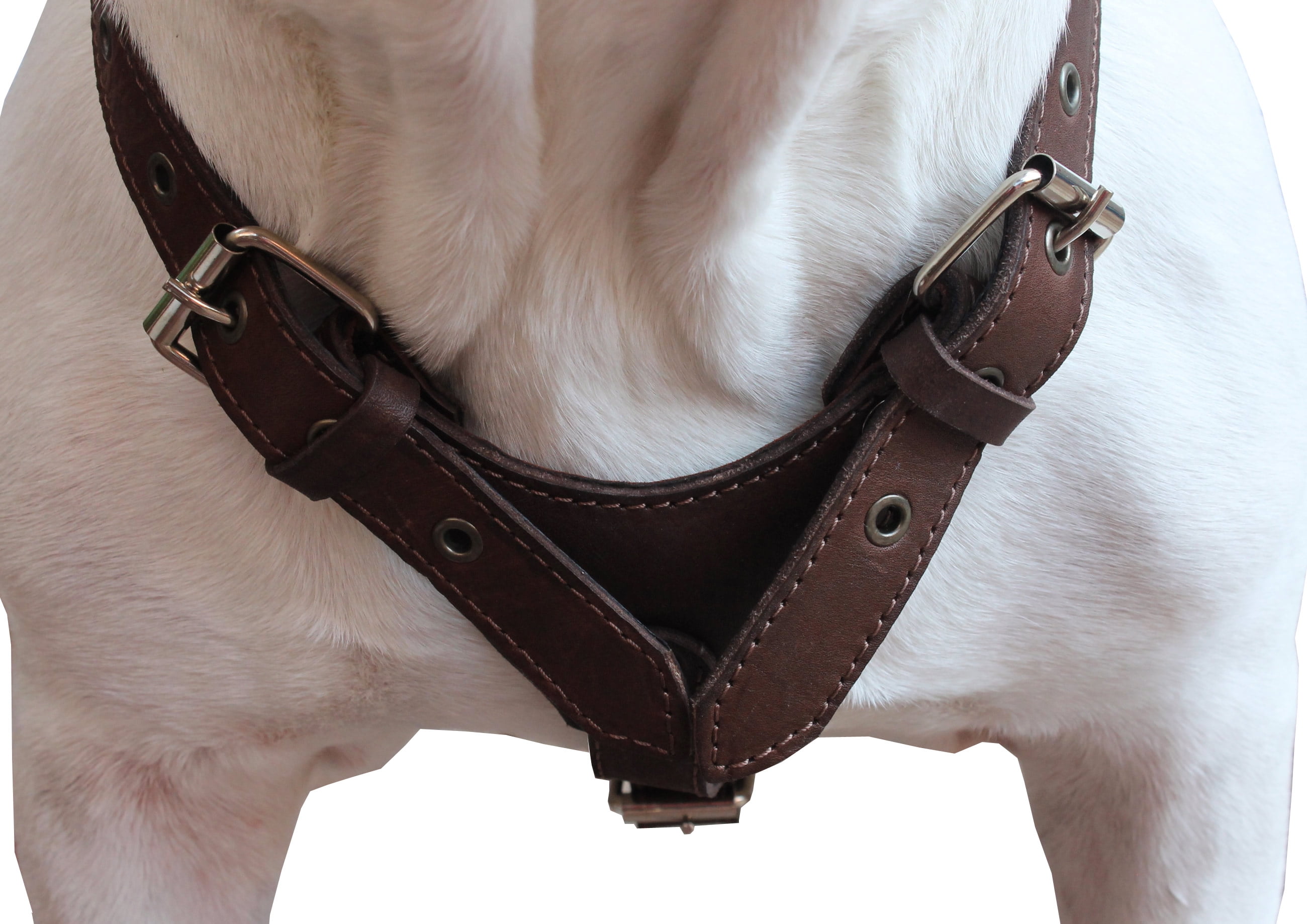 Genuine Leather Dog Harness Medium to Large 25"-32" Chest, 1" Wide Adjustable Straps (Brown)
