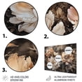 thumbnail image 3 of Designart "Peony Blooms in Cream and Brown" Floral Peony Metal Wall Art Prints, 3 of 5