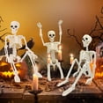 thumbnail image 3 of 15.8in Halloween Skeleton Decoration, Posable Skeleton Figure with Movable Joints, Full Body Skull Prop for Outdoor Yard, Haunted House Party and Spooky Home Decor, 3 of 6