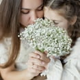 thumbnail image 3 of 10 Pcs Artificial Babys Breath Gypsophila Silk Flowers Bouquet, Home Wedding Party Home Decor, Gift for Mother's Day, 3 of 9