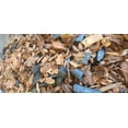 thumbnail image 6 of Evergreen Orchids Mix Soil Potting Mix 5qts., 6 of 7