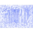 thumbnail image 1 of Ahgly Company Machine Washable Indoor Rectangle Persian Blue Bohemian Area Rugs, 8' x 10', 1 of 4