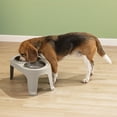 thumbnail image 1 of Comedero Alto Ergonómico Mascotas Medium Ideal Razas Medianas Rimax, 1 of 7