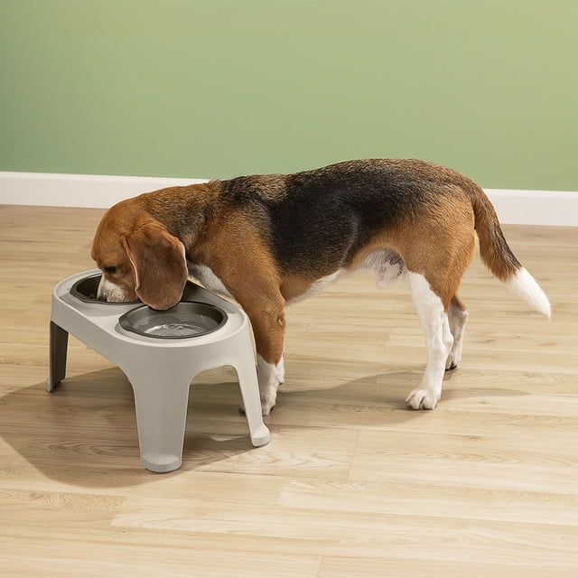 Comedero Alto Ergonómico Mascotas Medium Ideal Razas Medianas Rimax