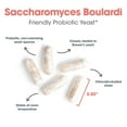 thumbnail image 5 of Allergy Research Group Essential-Biotic Saccharomyces Boulardii 450mg Probiotic Supplement - S. Boulardii Probiotic Yeast, Friendly Bacteria Establishment, GI Tract Support - 60 Count, 5 of 8