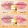thumbnail image 4 of Kokovifyves Peach Moisturizing Lip Balm Fade and Winter Lip Cracking Lip Liner and Dead, 4 of 4