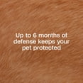 thumbnail image 4 of ADAMS Flea & Tick Collar for Dogs & Puppies, 2 Pack, 12 Month Protection, Adjustable One Size, Kills Fleas, Ticks & Repels Mosquitoes, Excluding California, 4 of 11