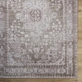 thumbnail image 5 of BoutiqueRugs Aninda Traditional, Transitional Area Rug - Taupe, Ivory, Dusty Rose - 2' x 3', 5 of 6