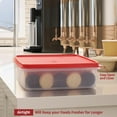 thumbnail image 5 of SIGNORAWARE 3 L Airtight Food Storage Container with Lid – Red, 5 of 6