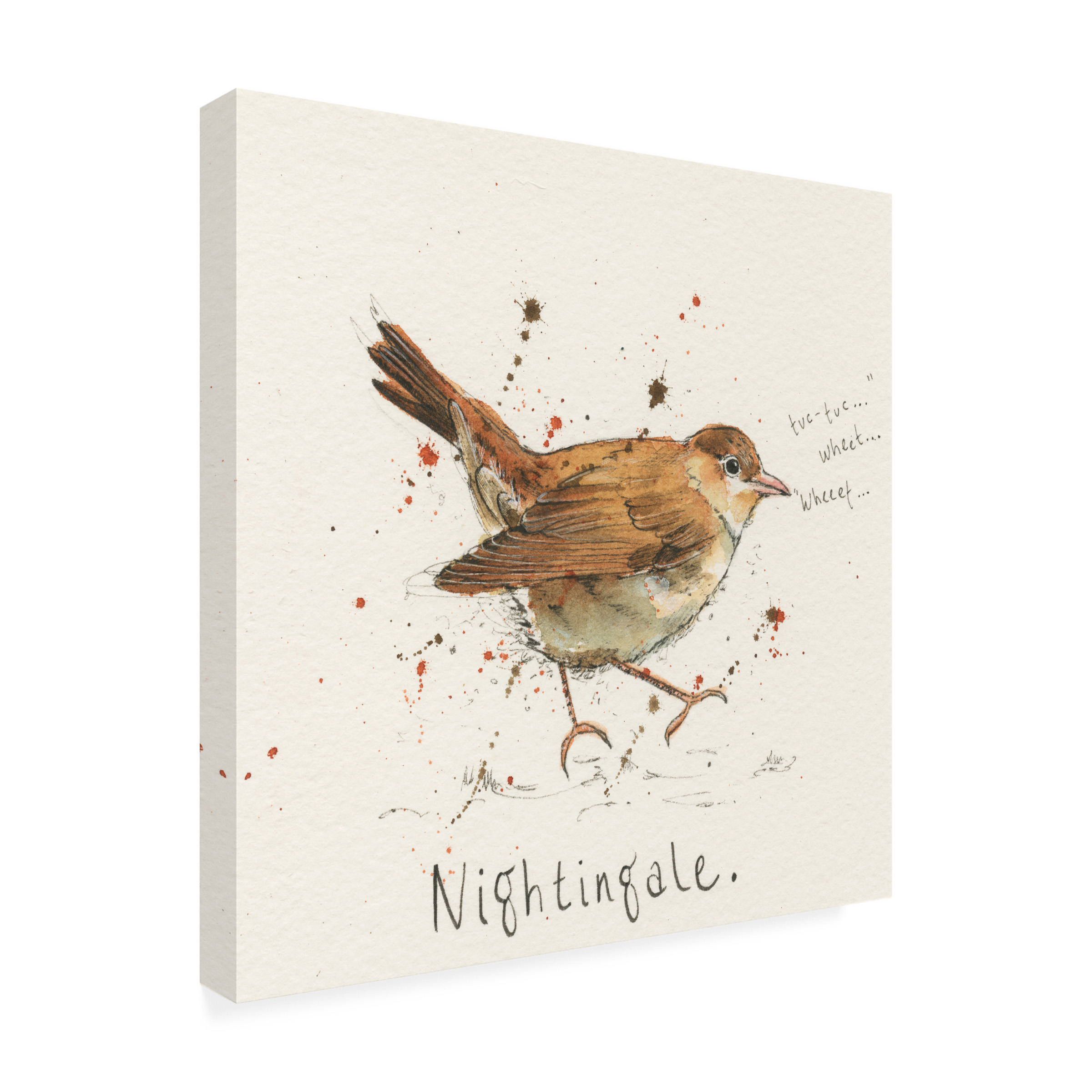 Michelle Campbell 'Nightingale' Canvas Art