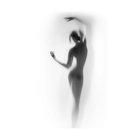 Shadow Billet - Ballet Print Wall Art By Shadow