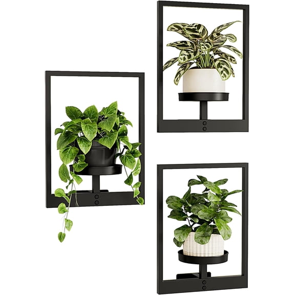 Wall Planters for Indoor Plants Hanging Planter for Indoor Plants Plant Stand Indoor Wall Decor Hanger Window Plant Shelves 3 Pack for Living Room Outdoor Entryway
