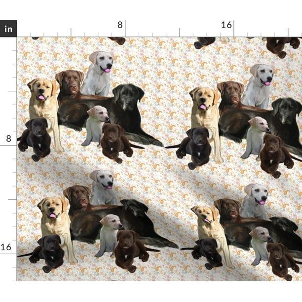 Labrador Retrievers Lab Dogs Animals Paisley Fabric Printed by