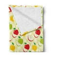 thumbnail image 2 of Fruits Soft Flannel Fleece Blanket, Diagonal Checkered Pattern with Apples and Slices Retro Country Kitchen Theme, Cozy Plush for Indoor and Outdoor Use, 50" x 70", Green Red Yellow, by Ambesonne, 2 of 5