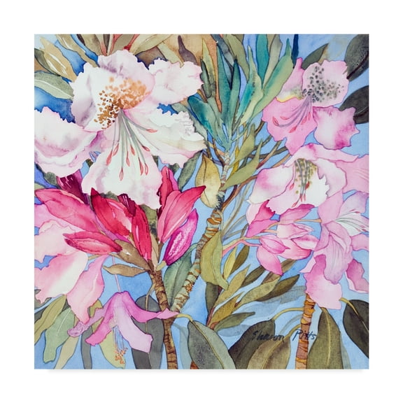Trademark Fine Art 'Rhododendron Flowers' Canvas Art by Sharon Pitts