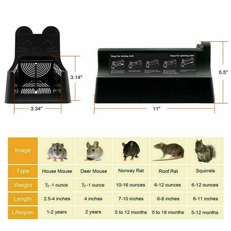Label KINGDOM 2PCS USA Electronic Mouse Trap Victor Control Rat Killer Mice  Electric Rodent Zapper Humane Clean 
