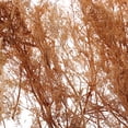 thumbnail image 3 of Diy Quinoa Modelo Natural Diy Paisaje Para Rr Tren Diorama Paisaje, 3 of 5
