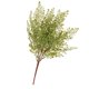 thumbnail image 1 of Hoja de helecho verde artificial 45 cm Simulación Artificial Hoja de Planta de Plástico Decoración Boda Hogar Flor Magideal Hoja de helecho verde artificial, 1 of 8