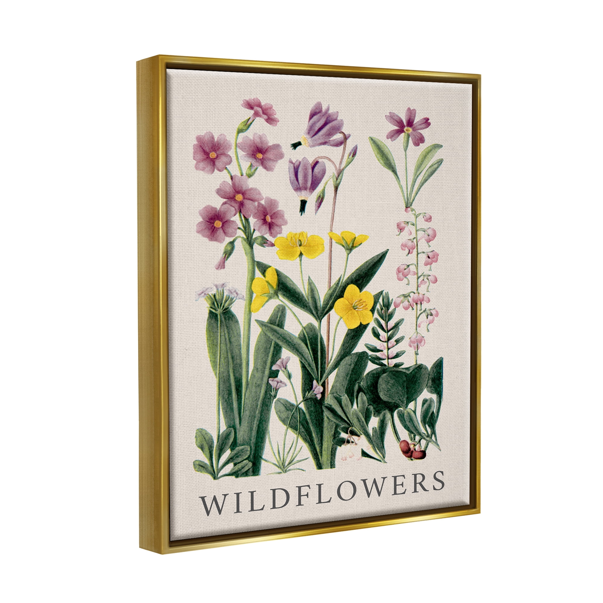 Stupell Industries Various Wildflowers Study Botanical & Floral Painting Gold Floater Framed Canvas Art Print Wall Art, 17 x 21
