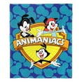 thumbnail image 3 of Animaniacs Logo Kids Silk Touch Throw Blanket, 3 of 5